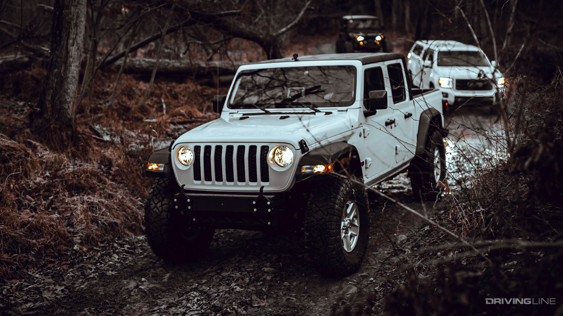 Gladiator, Canyon, and Wrangler on the trail through Green Ridge