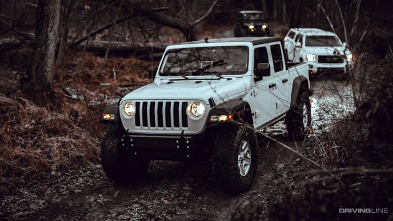 Gladiator, Canyon, and Wrangler on the trail through Green Ridge