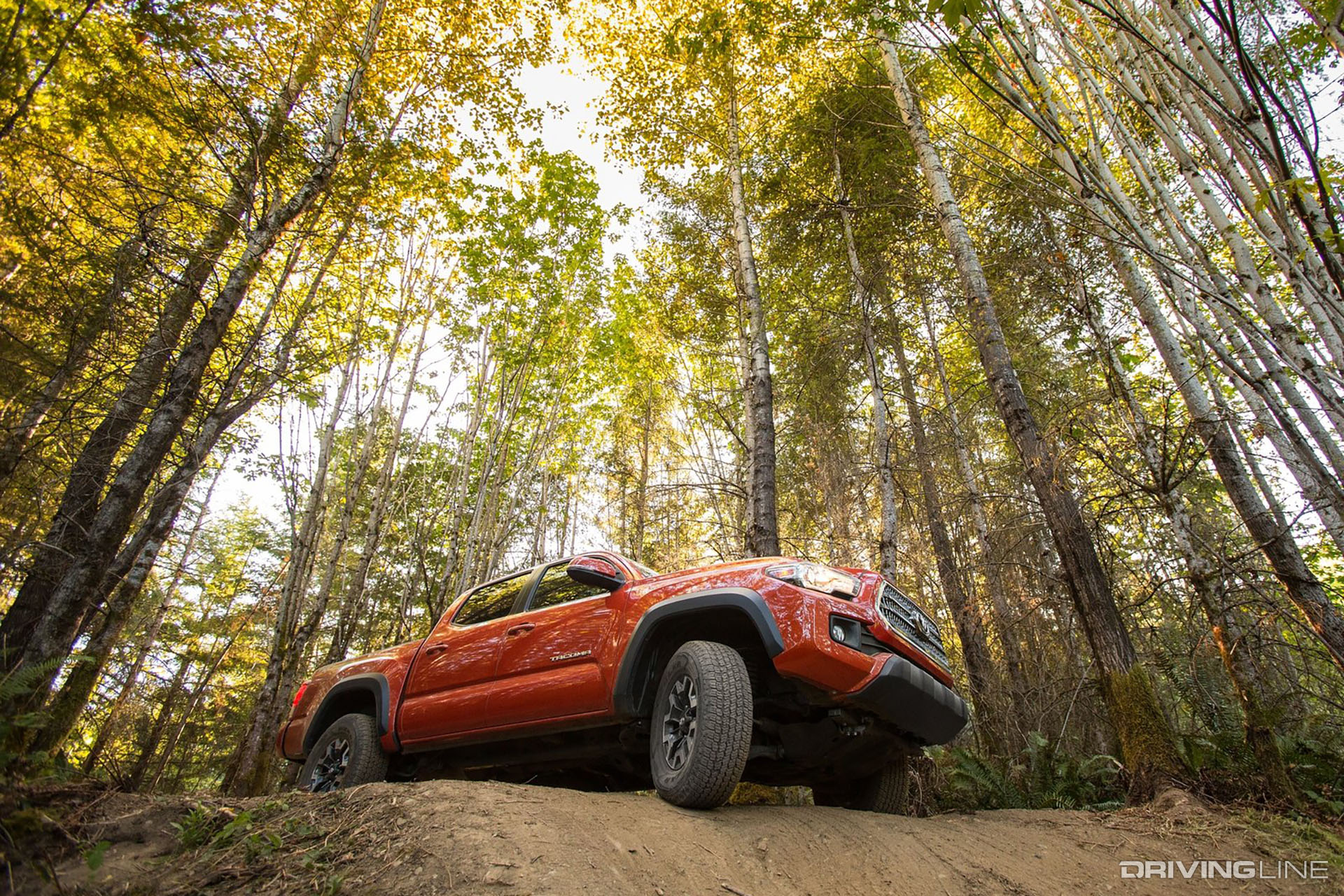 Toyota Tacoma 2016 Orange
