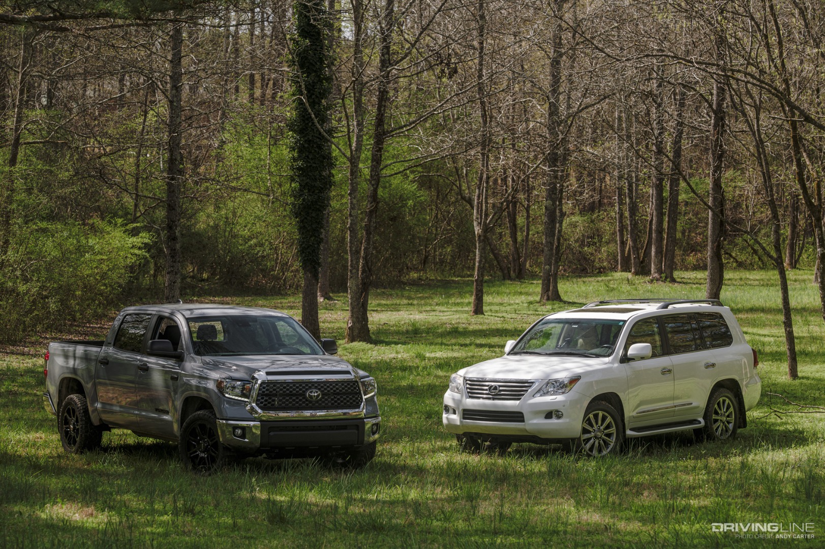 LX570 and Tundra on trails.