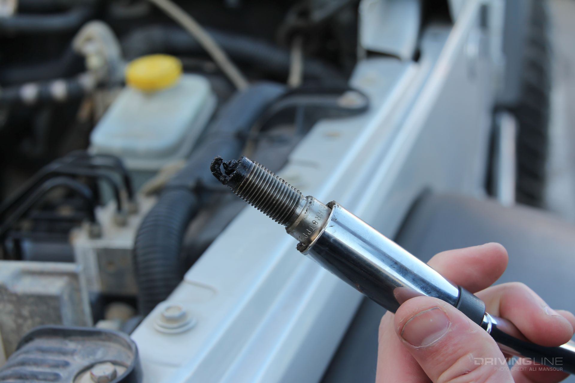 38l burning oil killing plugs