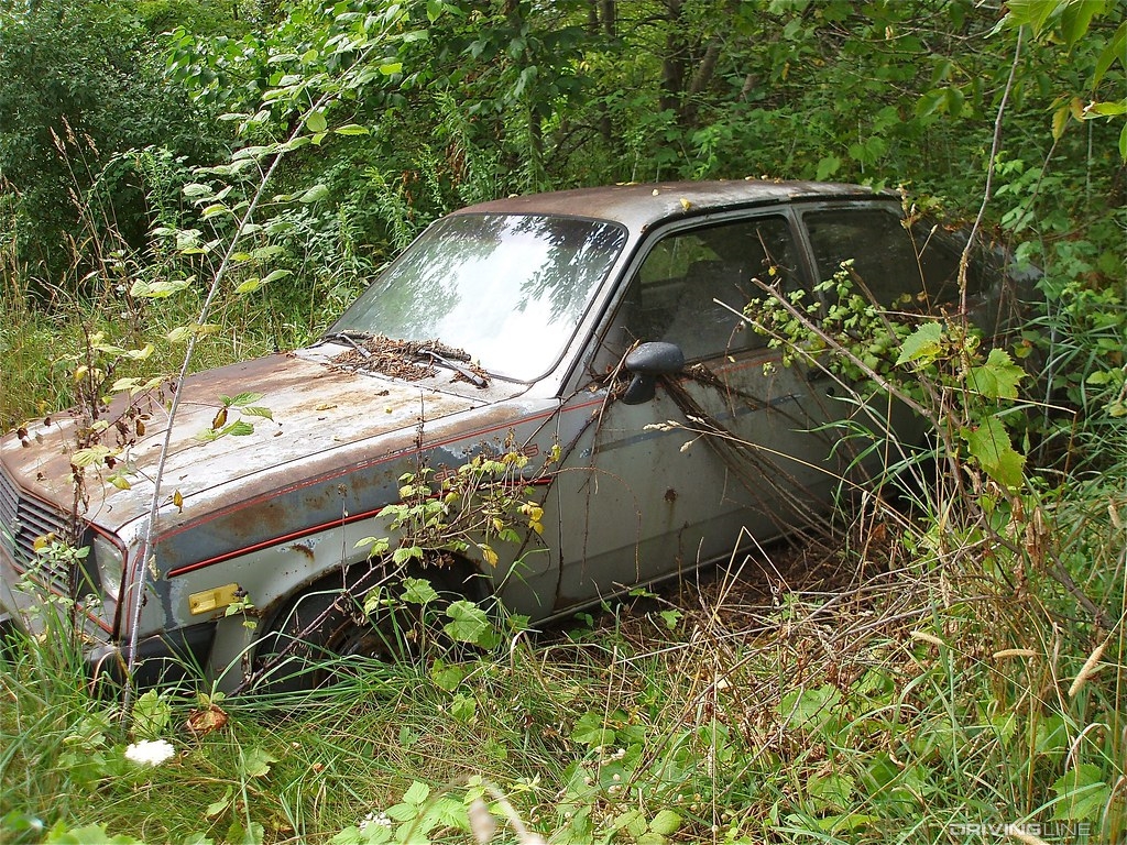 Chevette in the woods