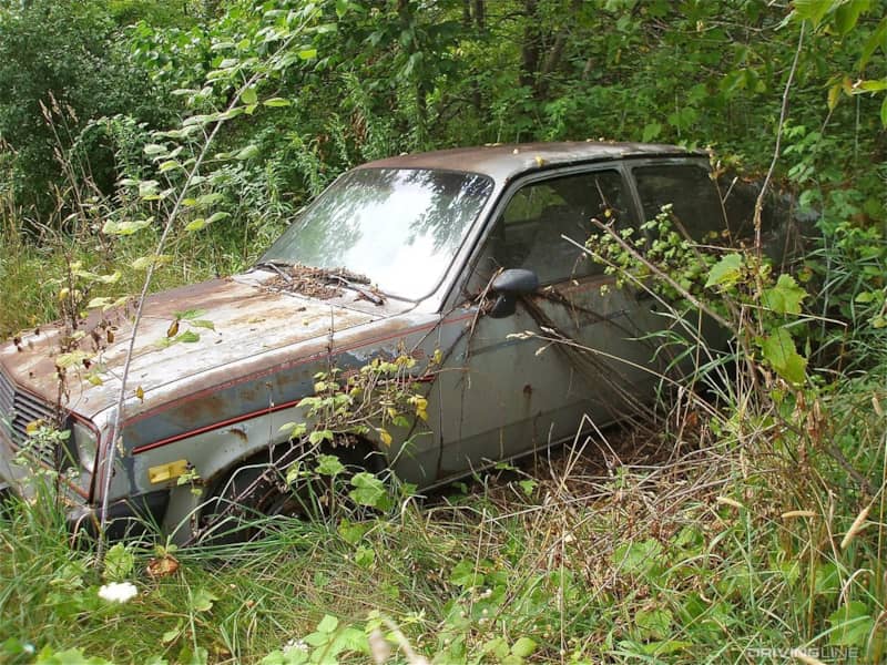 Chevette in the woods