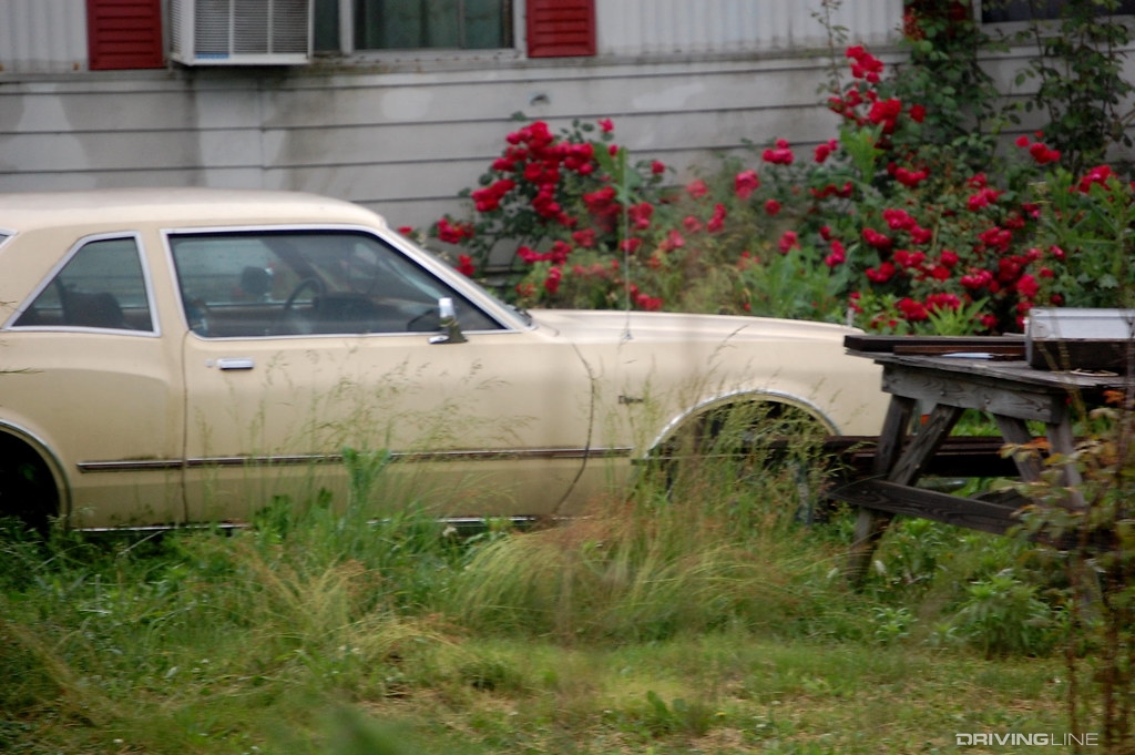 Hald a car in the tall grass.