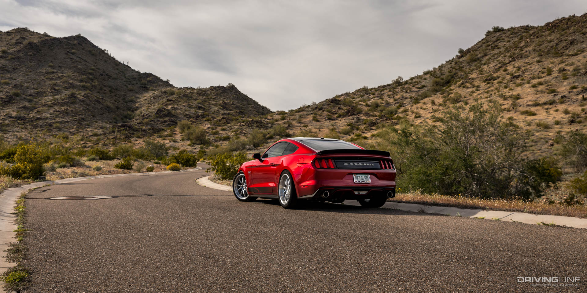 Steeda 2016 Mustang GT rear