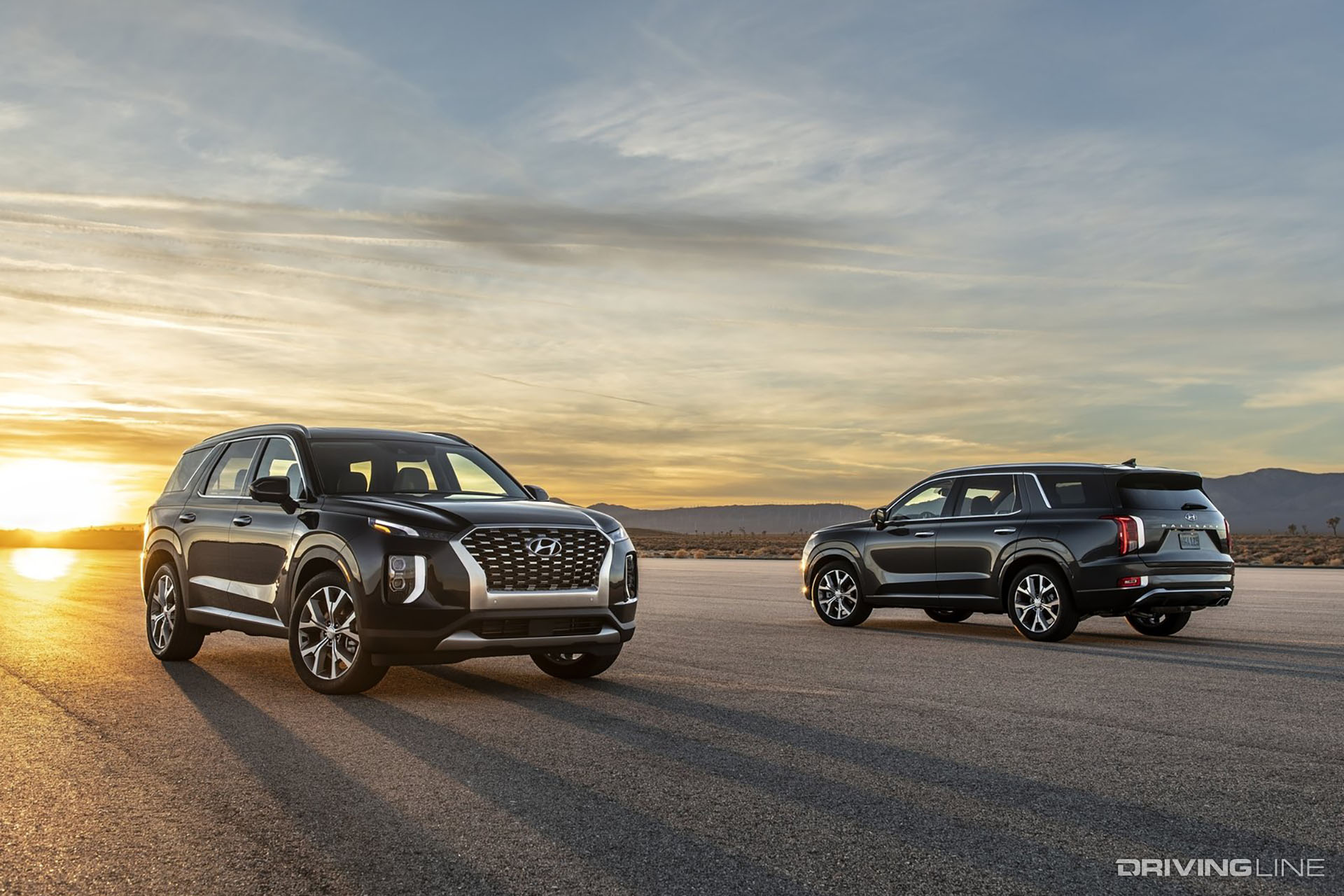 Hyundai Palisade In Desert