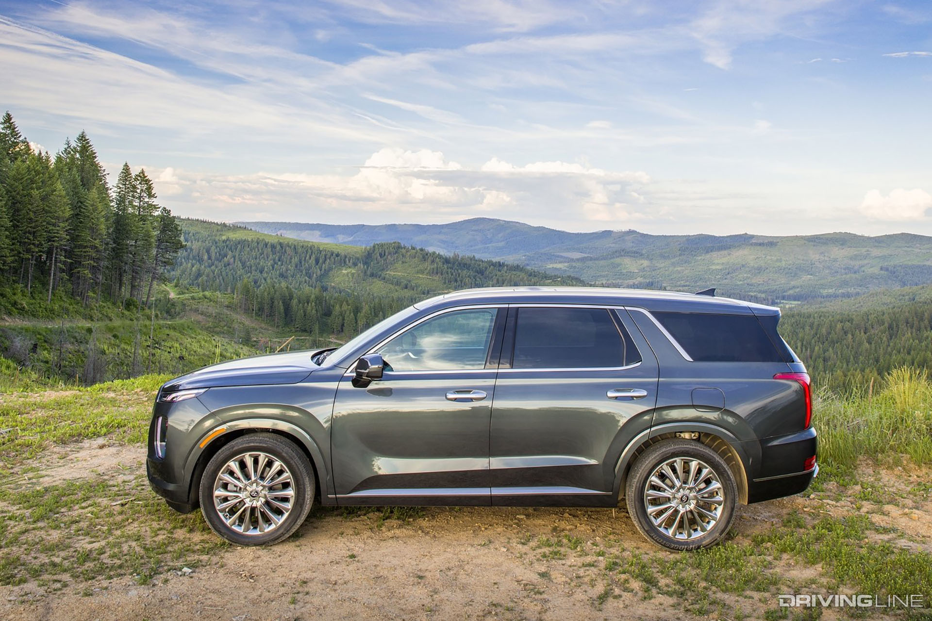 Hyundai Palisade Side View
