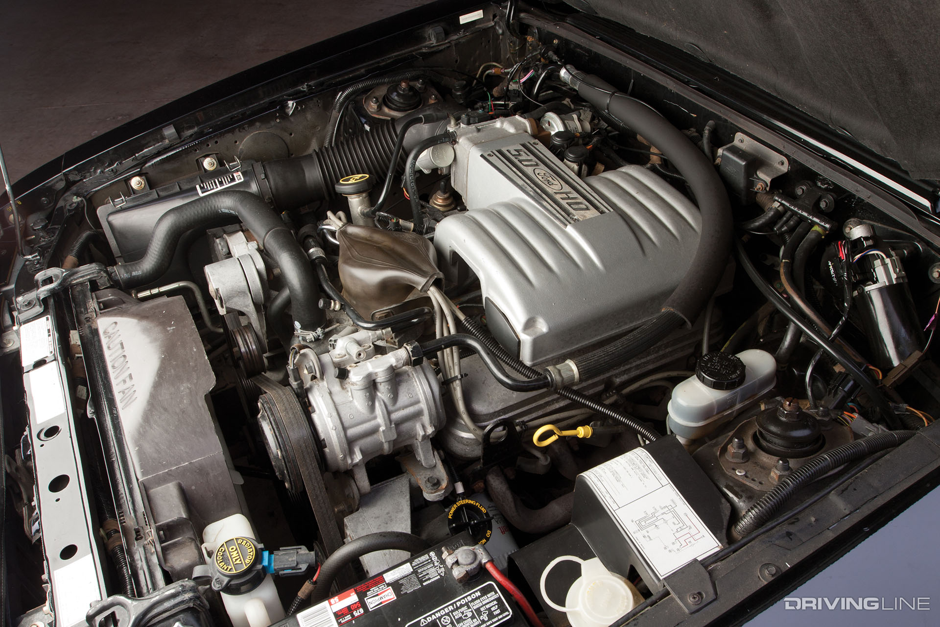 Mustang Fox Body 5.0 HO Engine