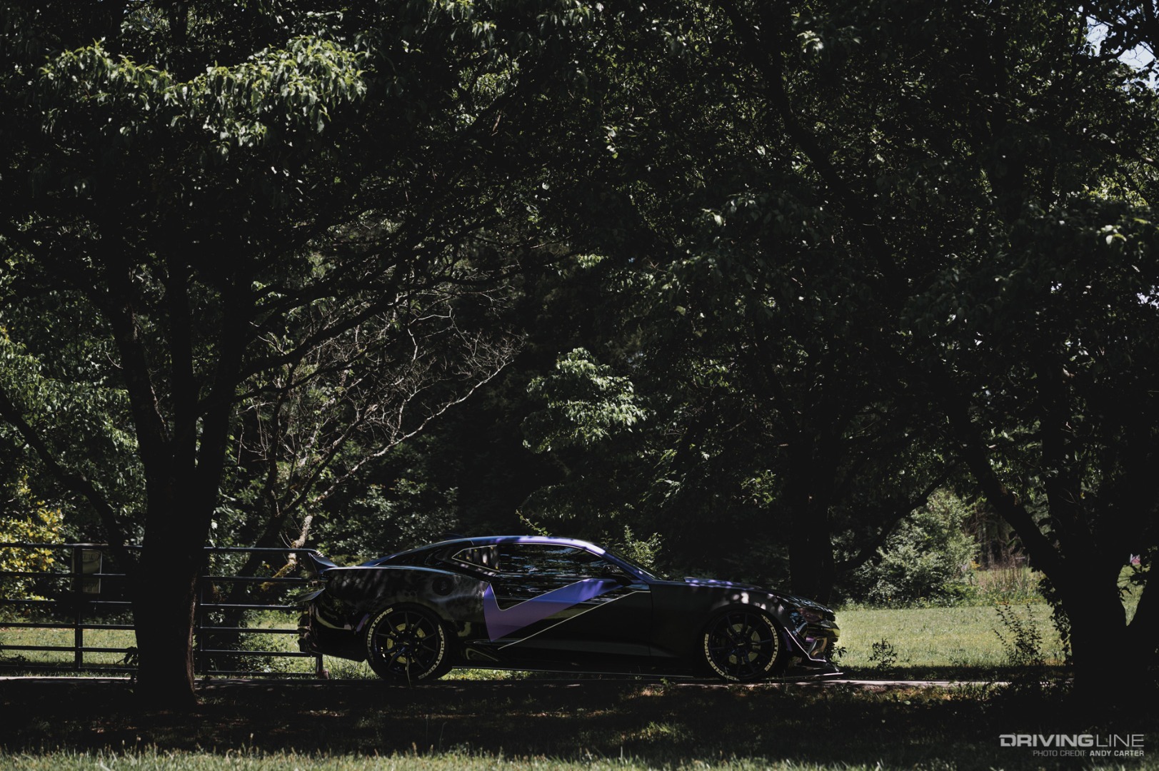 Black Panther Camaro SS