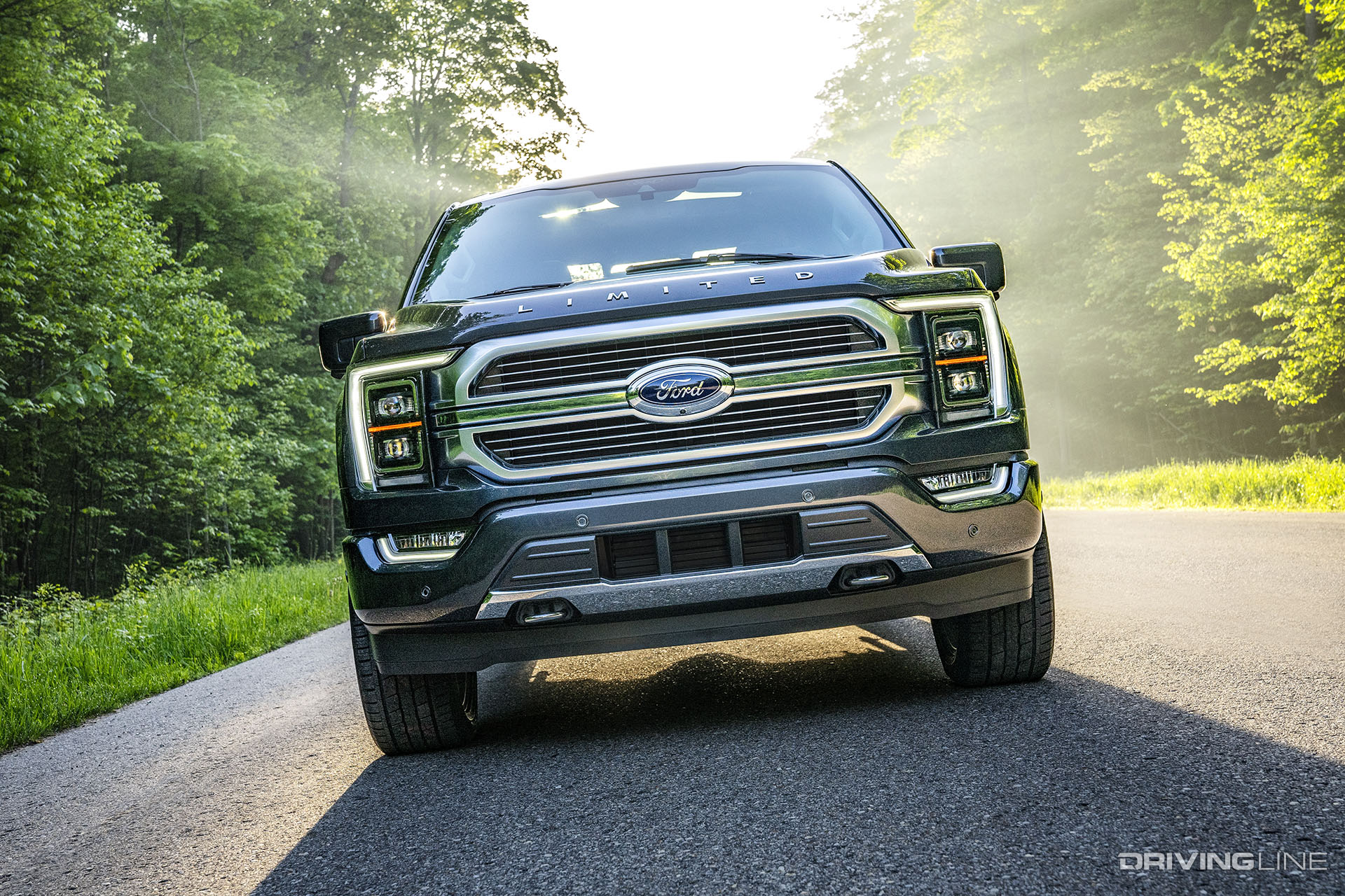 2021 Ford F-150 Front Grille