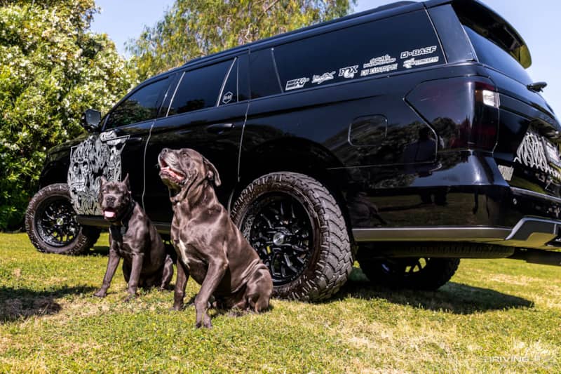 Hanro Expedition with dogs