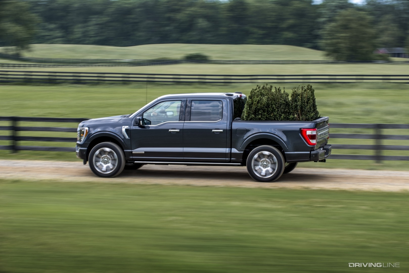 2021 Ford F-150 hauling trees