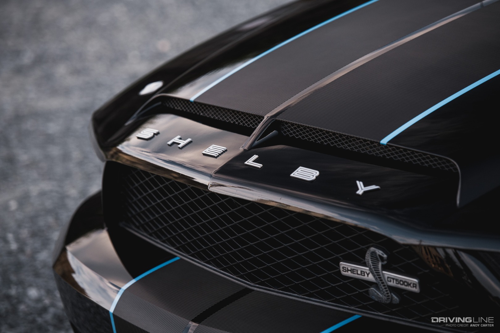 Shelby Front Stripes