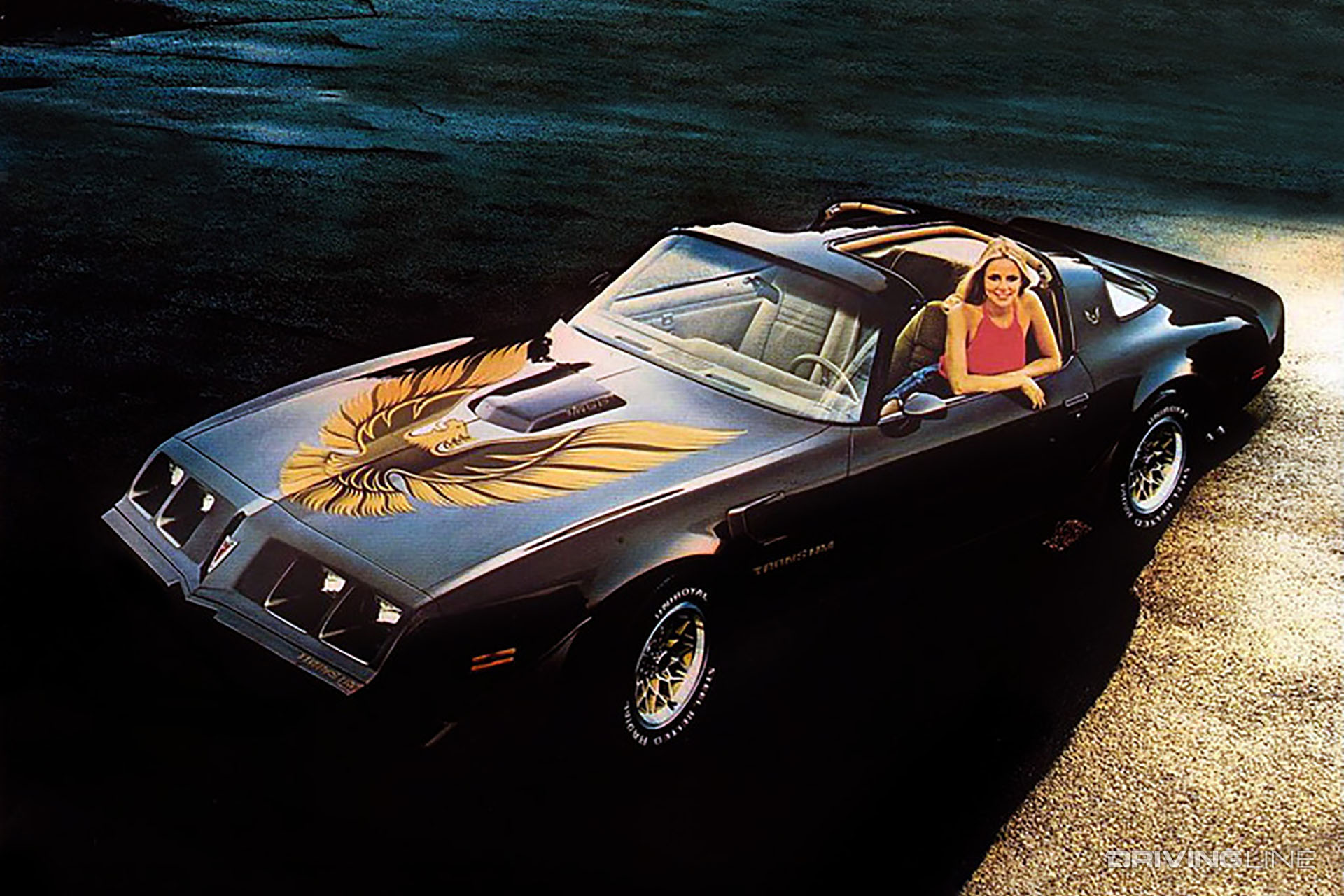 1979 Pontiac Trans Am Black and Gold