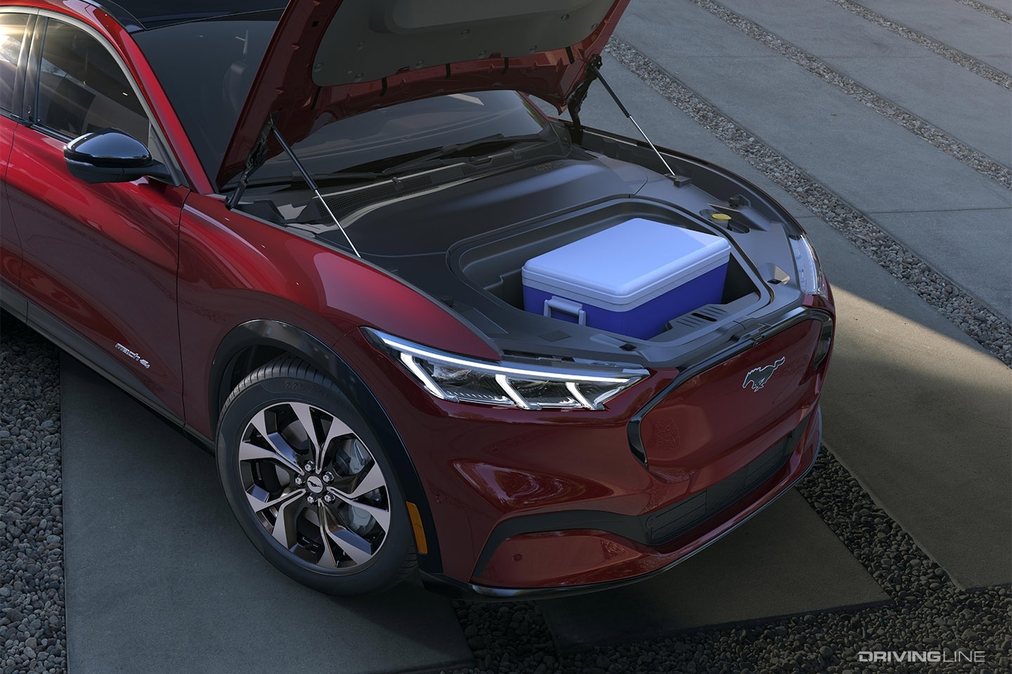 Ford Mustang Mach-E cooler