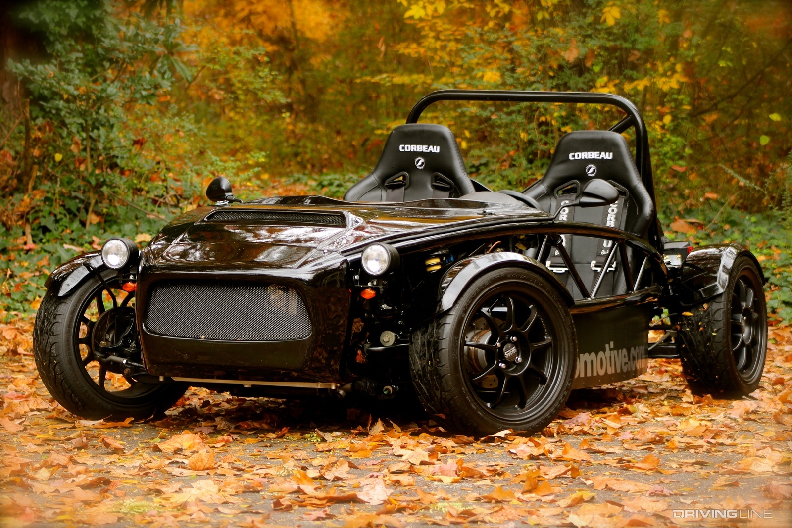 Exomotive Exocet in leaves