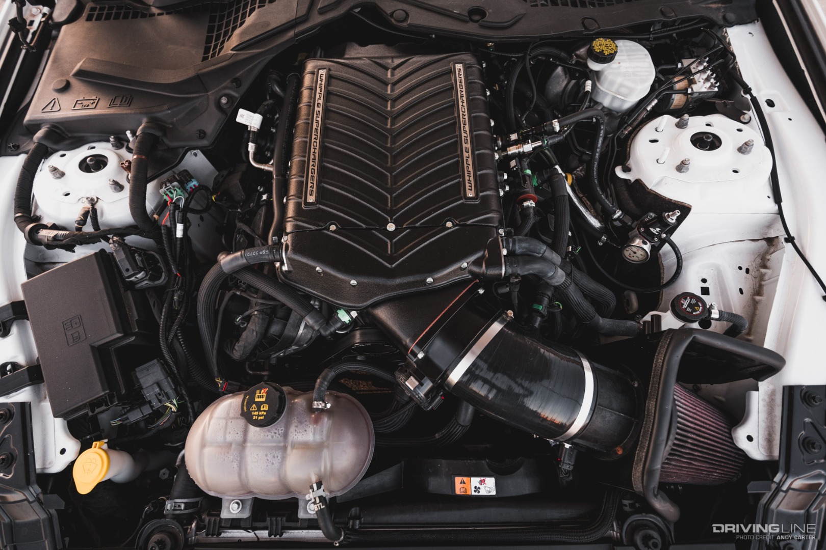 Whipple 3.0L Supercharger on 5.0L Ford Mustang engine