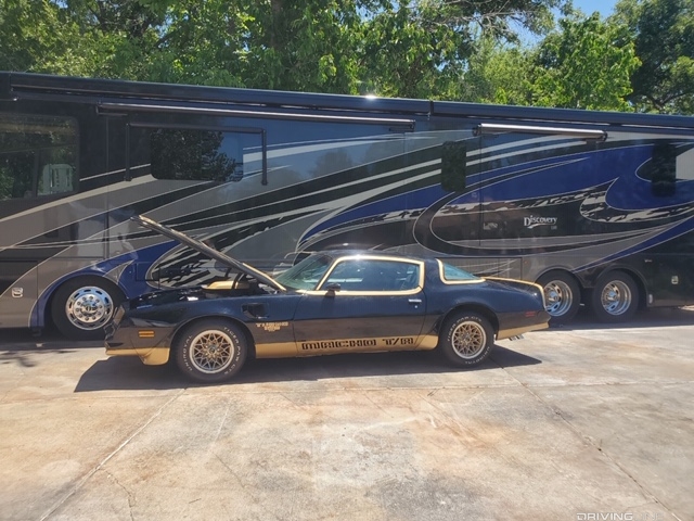 Macho T/A in black and tan