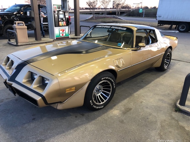 Macho Trans Am tan and black