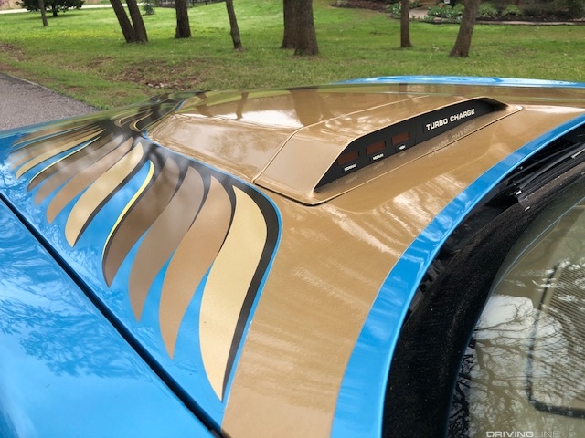 Macho T/A hood in blue with turbo