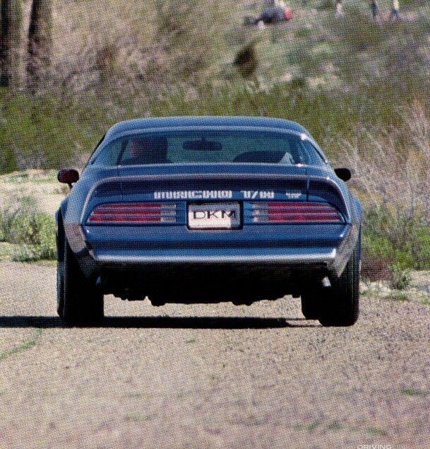 Macho T/A rear view