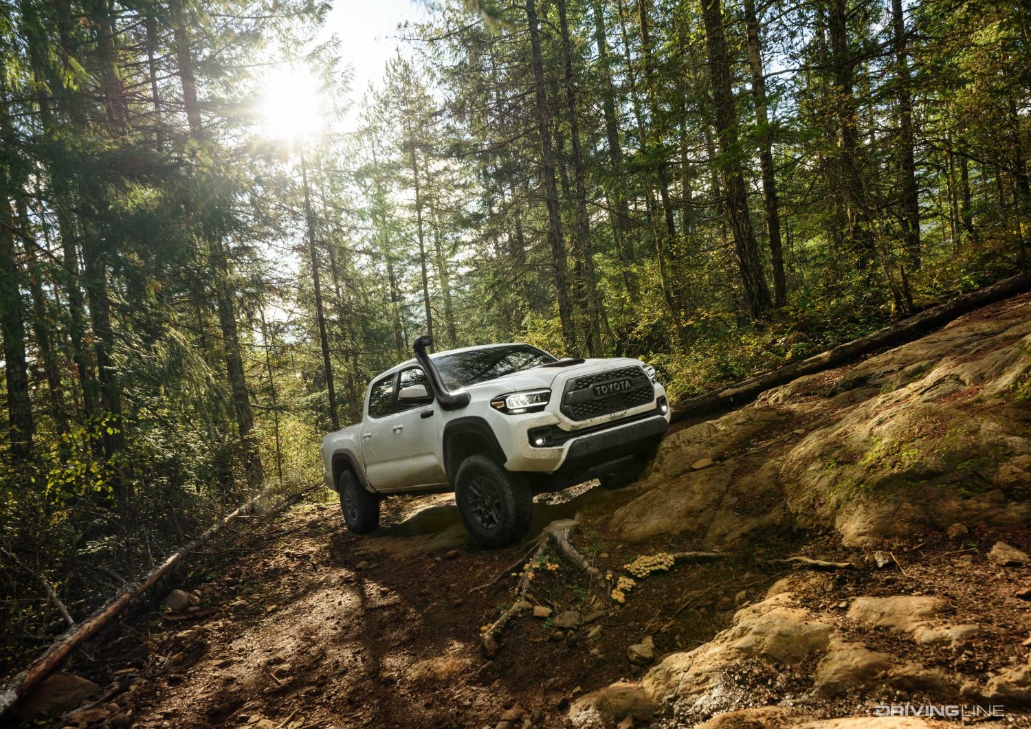 Toyota Tacoma TRD Pro in the forest