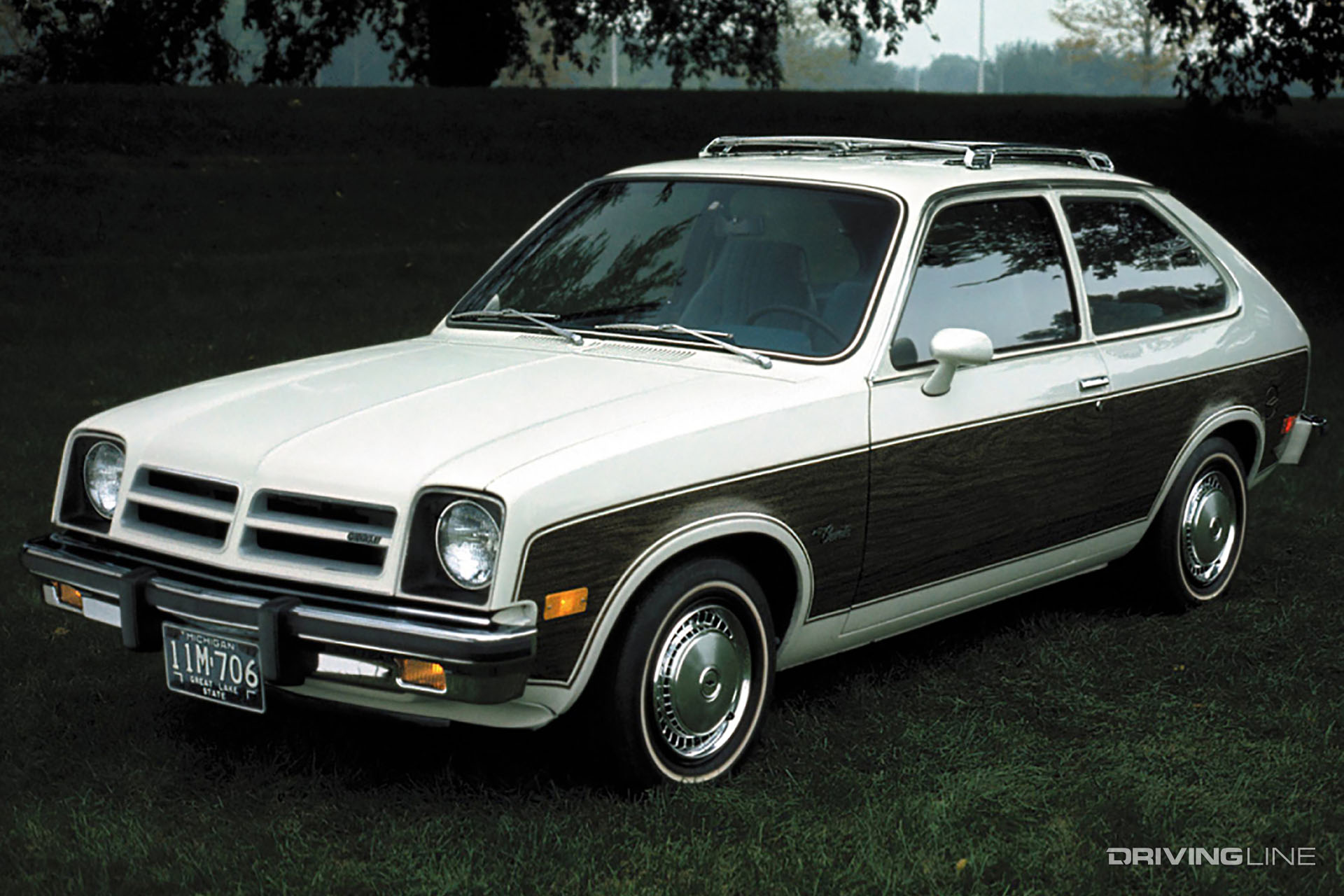 Chevy Chevette Woodgrain
