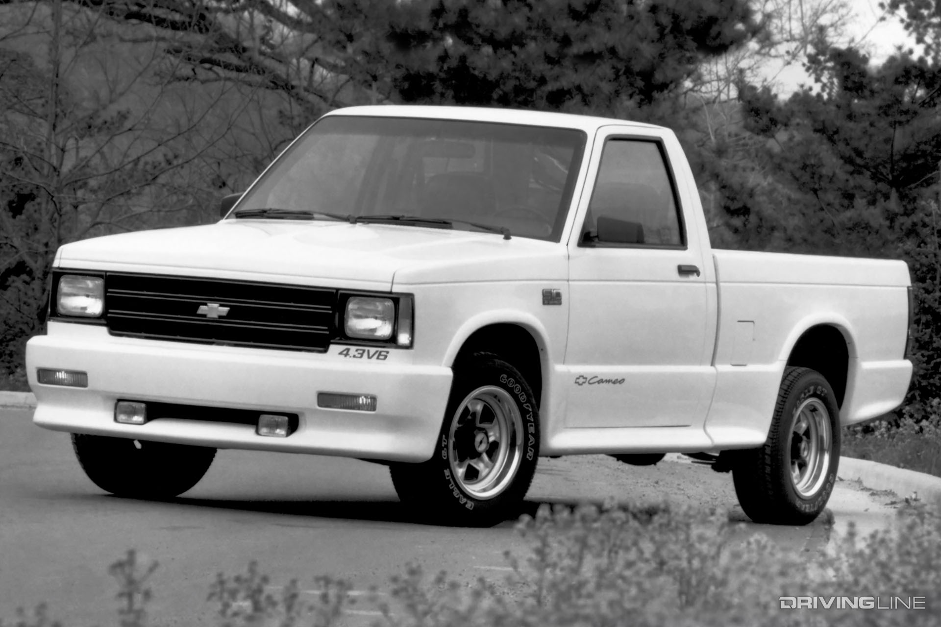 Chevy S-10 Cameo White