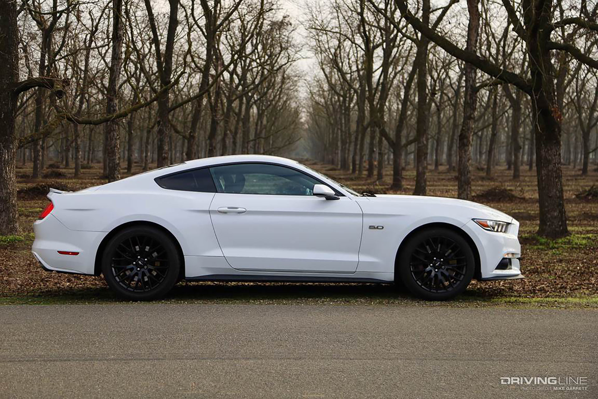 2016 Ford Mustang GT White Side View
