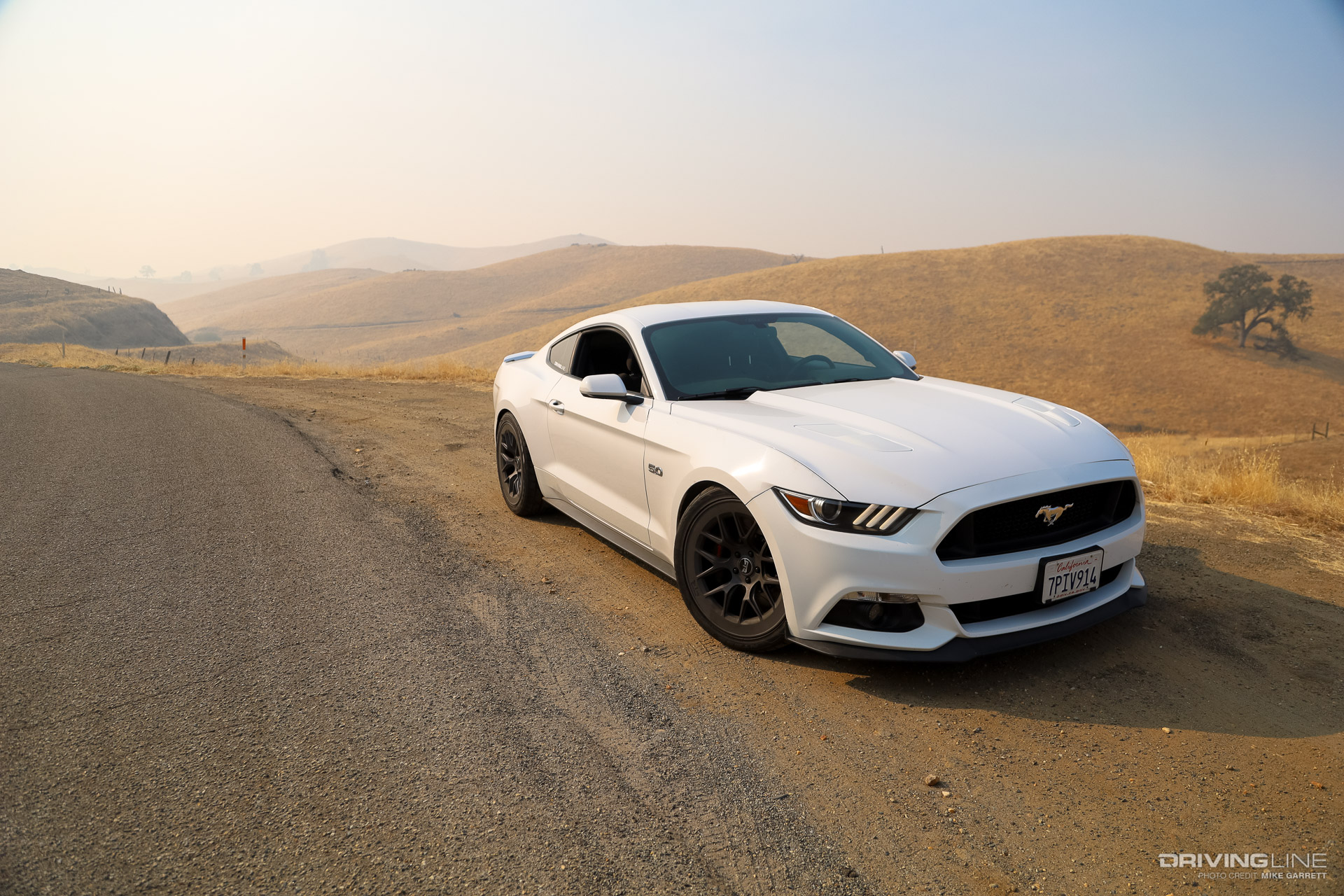 S550 Mustang GT Lowered