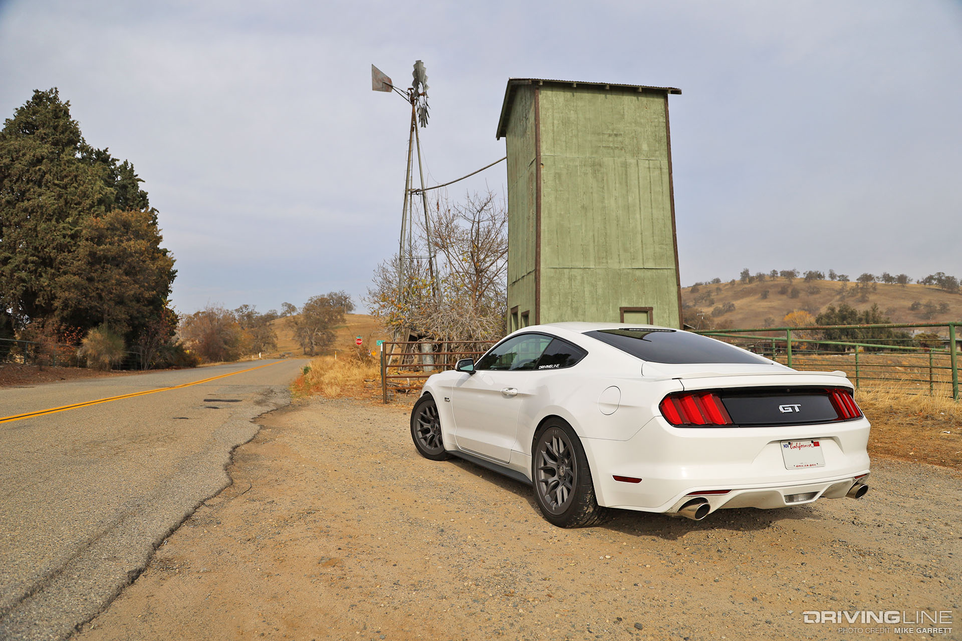 2016 Mustang GT White Rear View