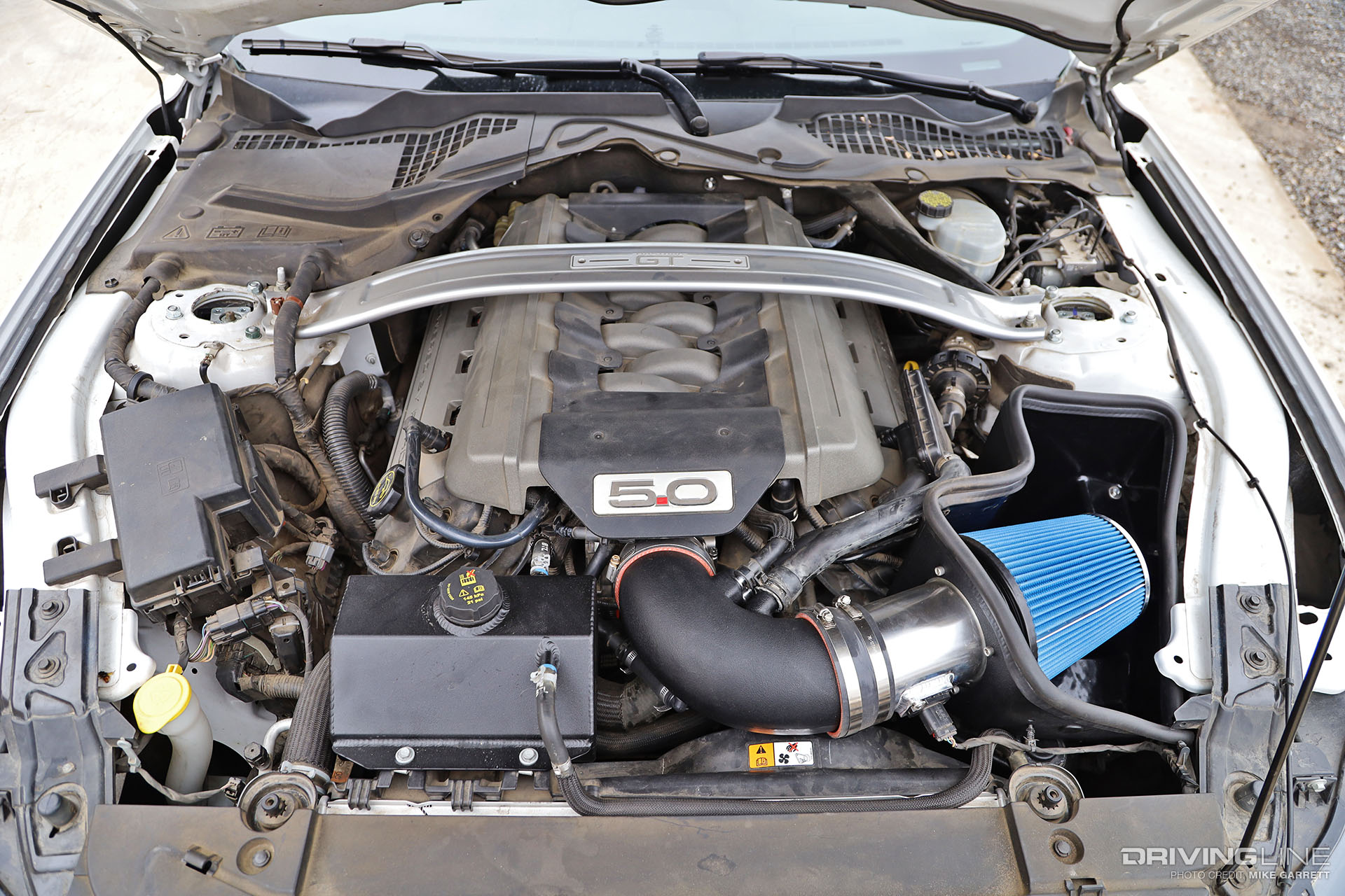 S550 Mustang GT Engine Bay 5.0 Engine