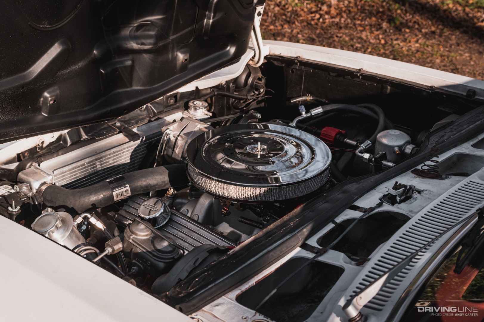 Pontiac Sunbird with 327 V8