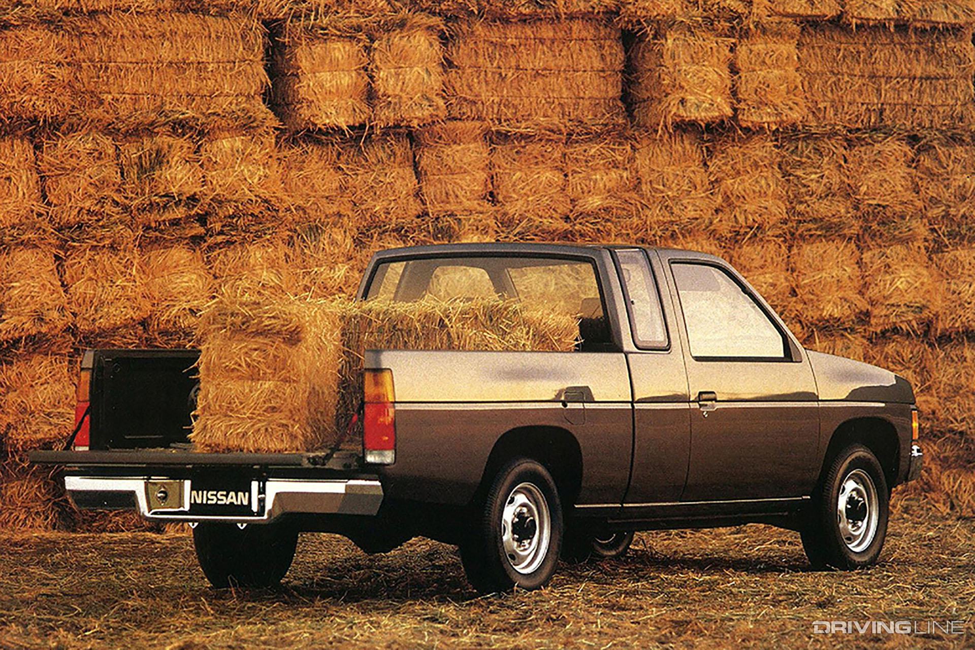 Nissan Hardbody Rear 3/4 View