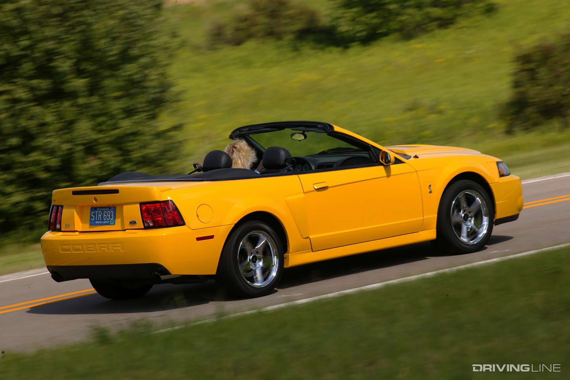 2003 Mustang Cobra Convertible Yellow