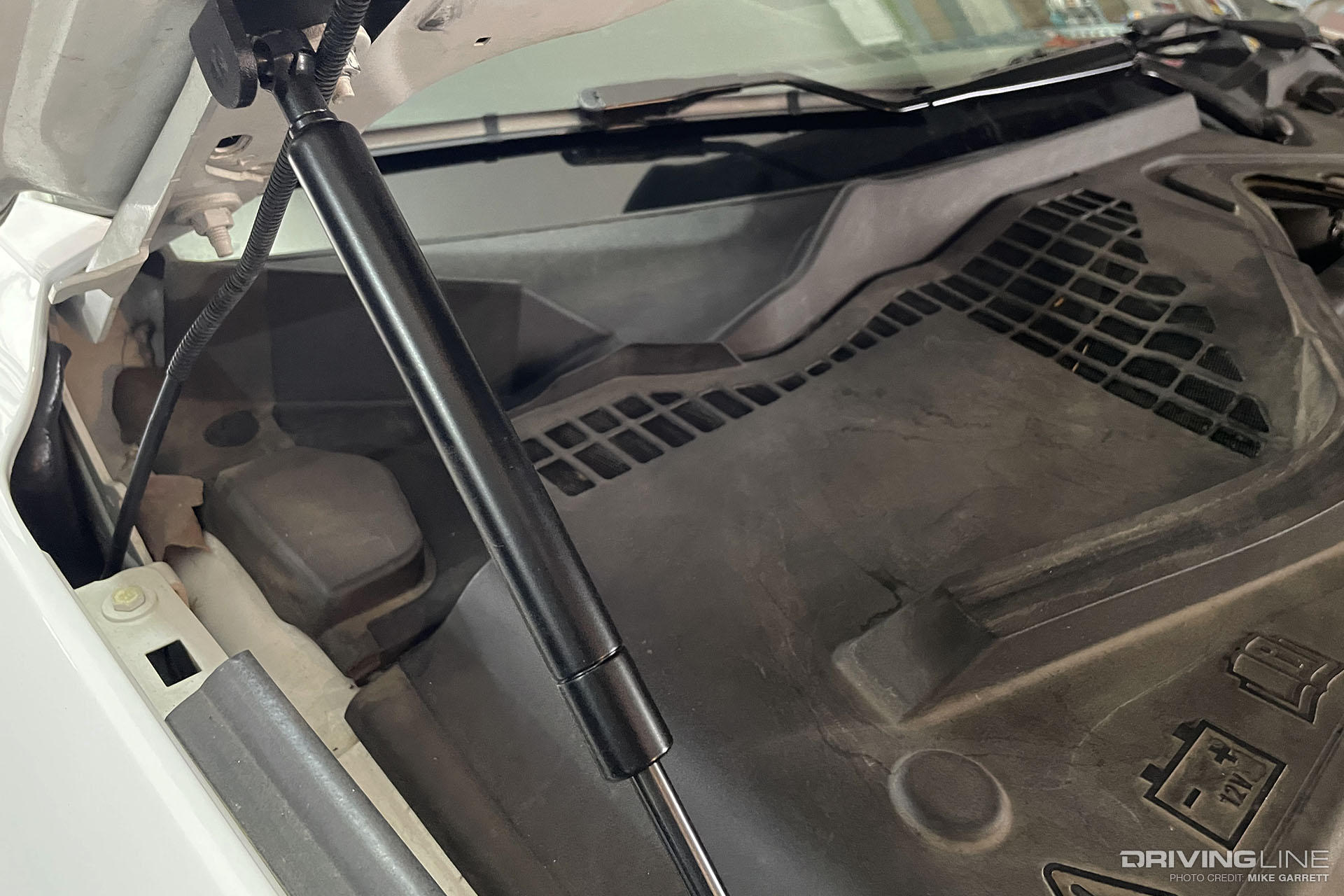 Steeda S550 Mustang Hood Strut Kit