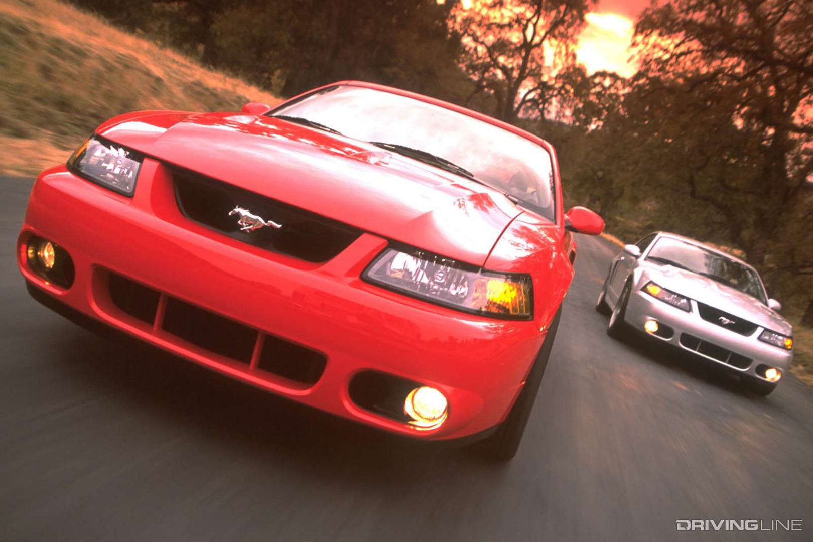 Ford Mustang SVT Cobra