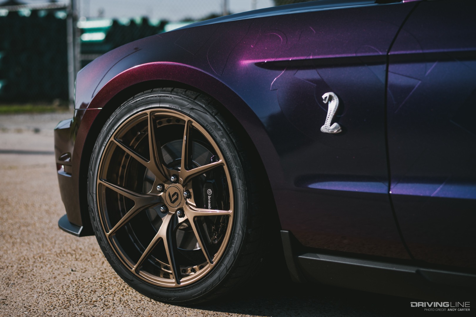 Ford Mustang Shelby GT500 on Nittos