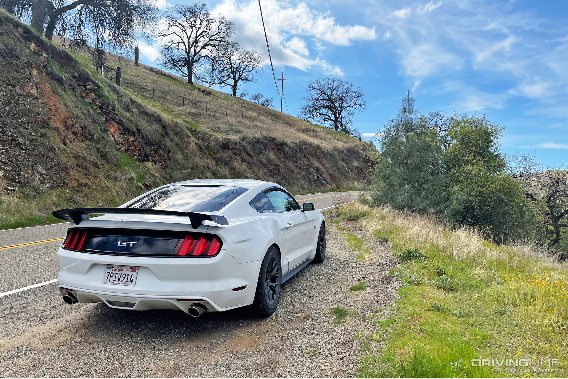 S550 Mustang GT Steeda Rear Wing