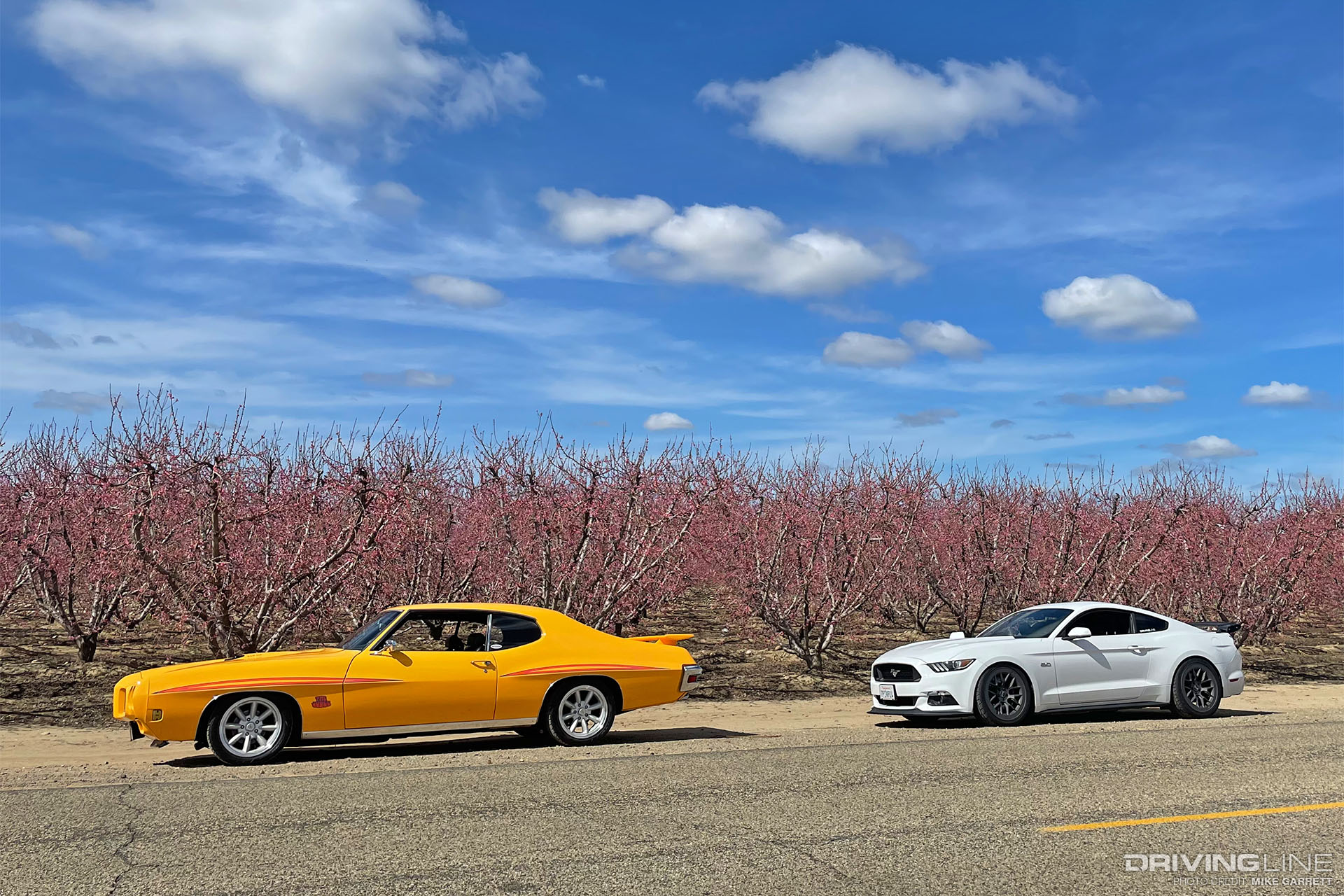 S550 Mustang GT and Pontiac GTO