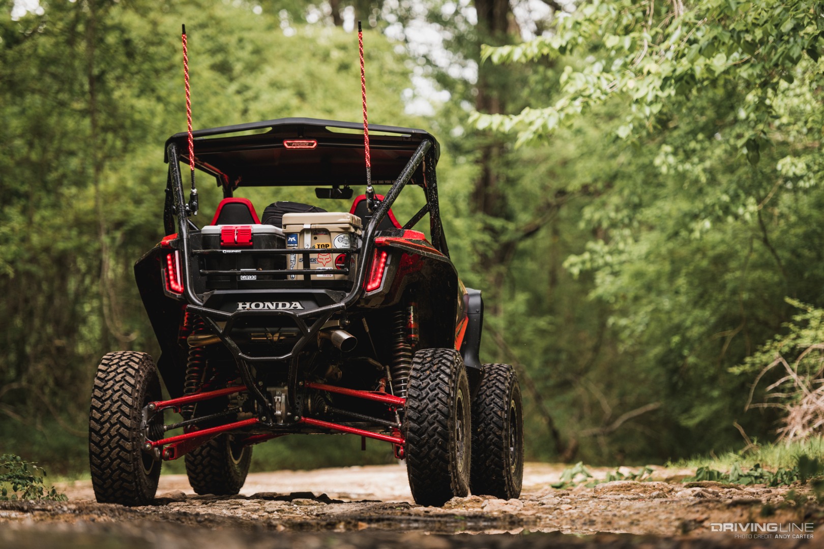 Honda Talon 1000R rear