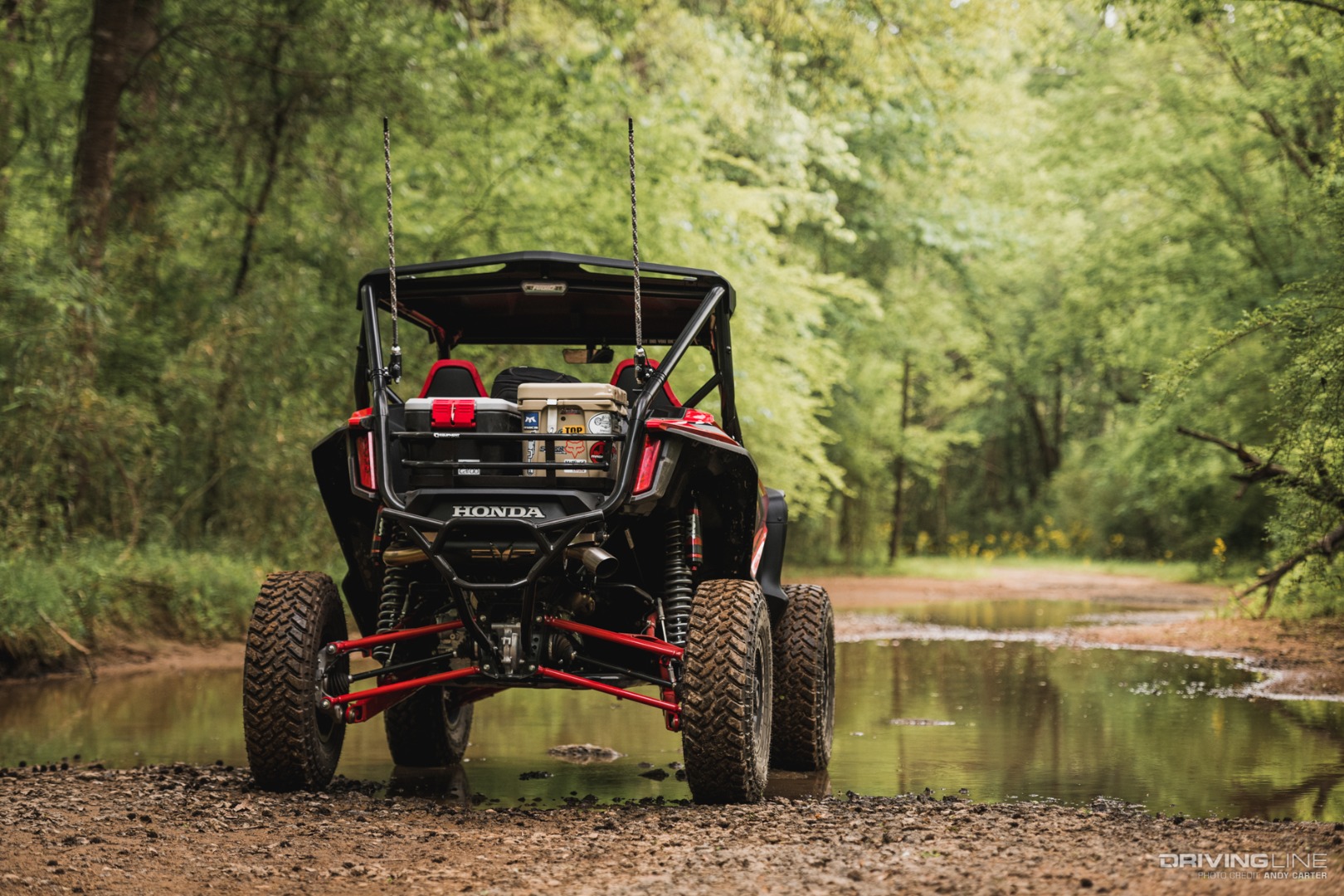 Honda Talon Rear shot