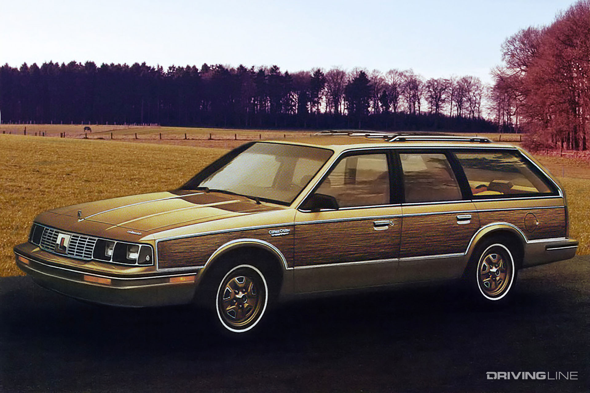 Oldsmobile Cutlass Cruiser Gold