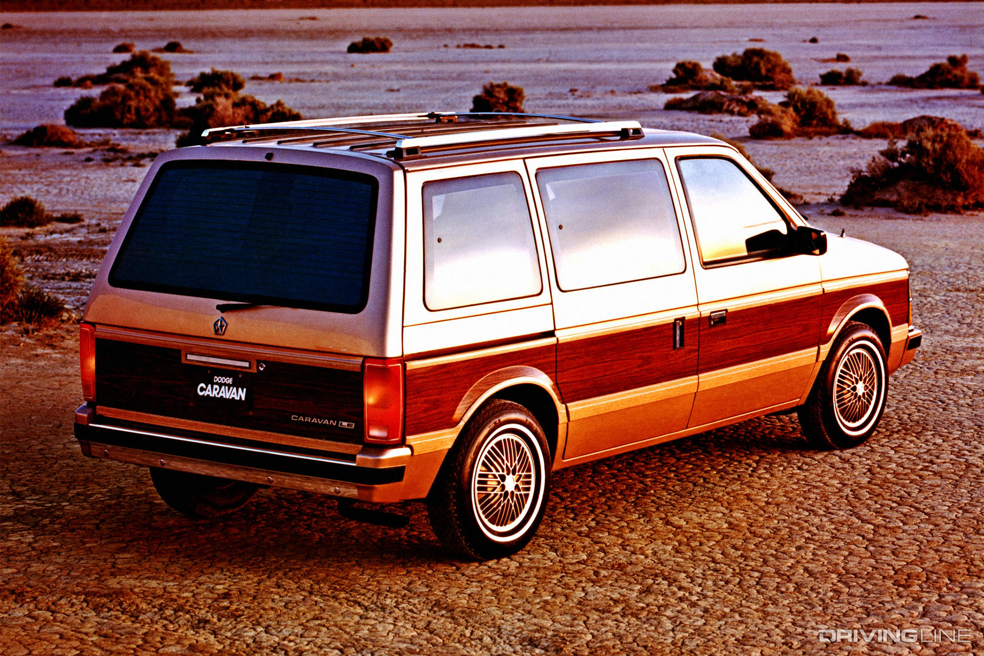 Dodge Caravan Woodgrain