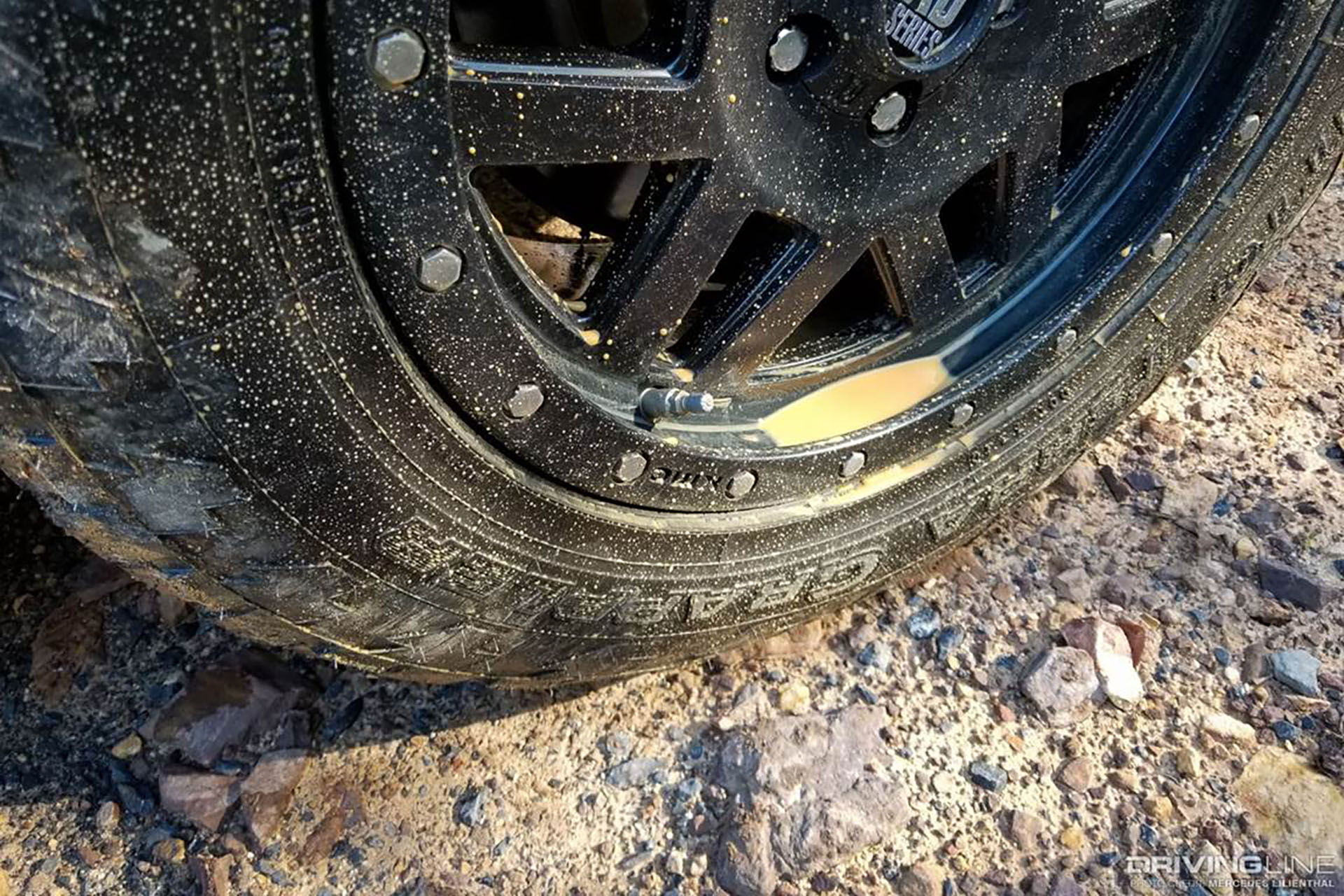 Nitto Terra Grappler on Honda Passport