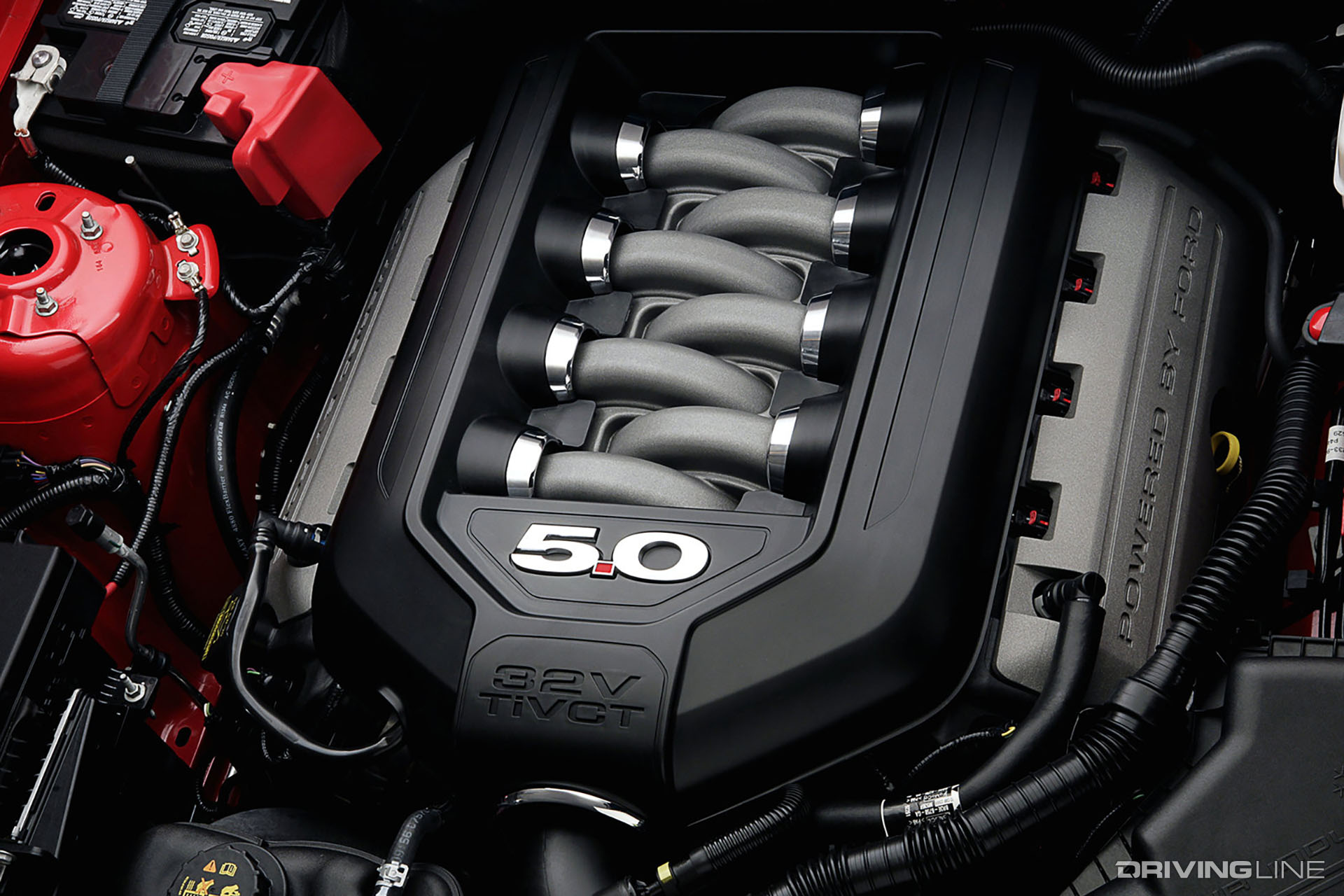 Ford 5.0 Coyote Engine