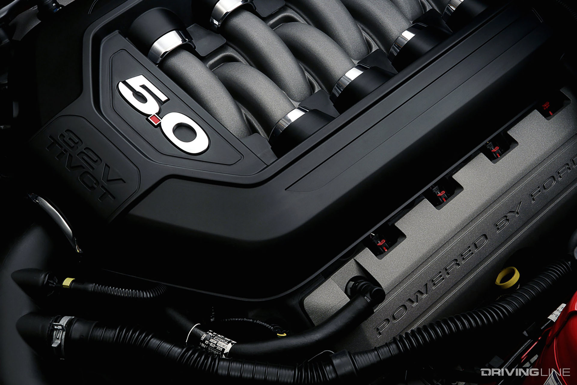 Ford 5.0 Coyote Engine