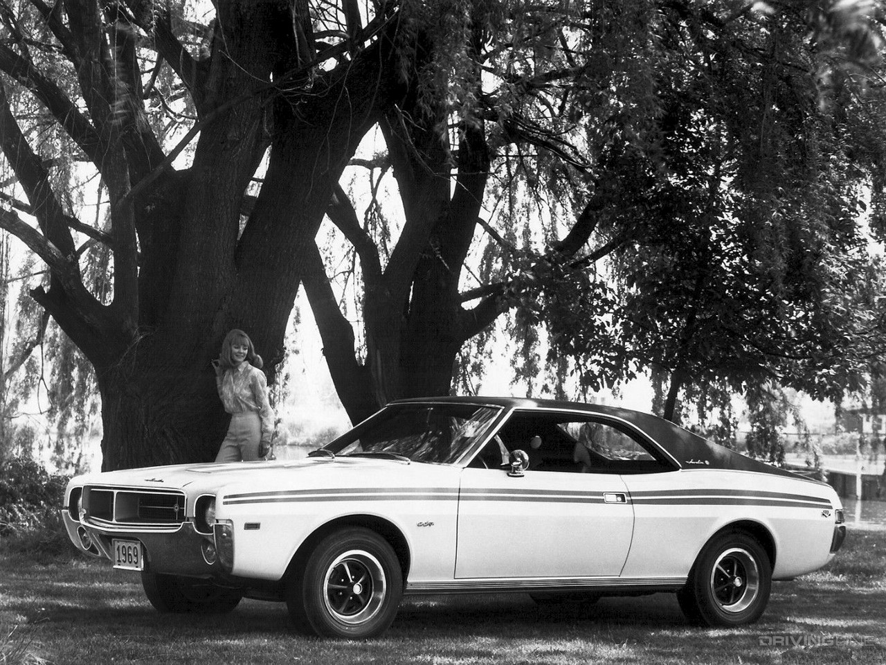 AMC Javelin under tree