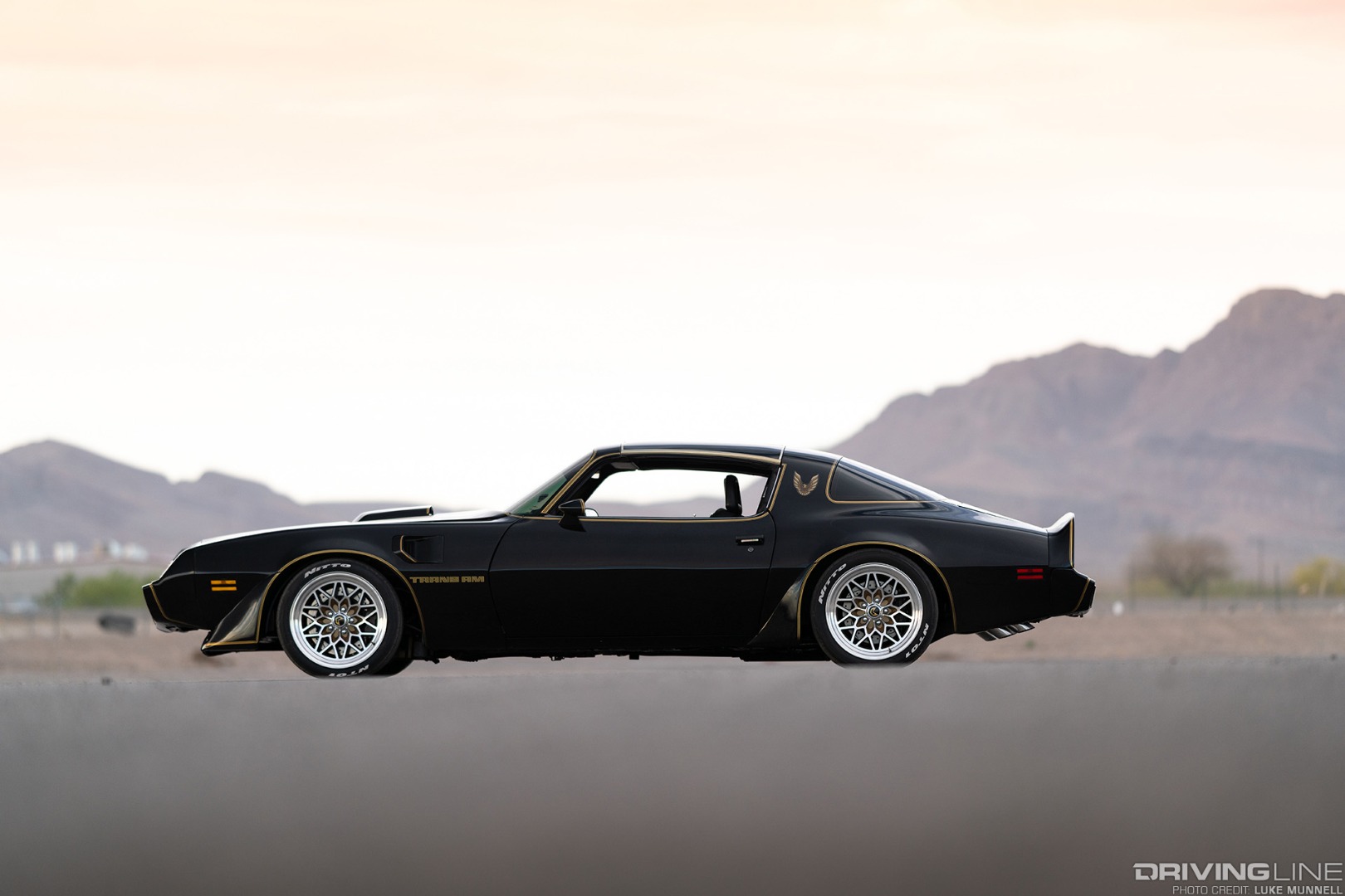 1979 Pontiac Trans Am driver side profile