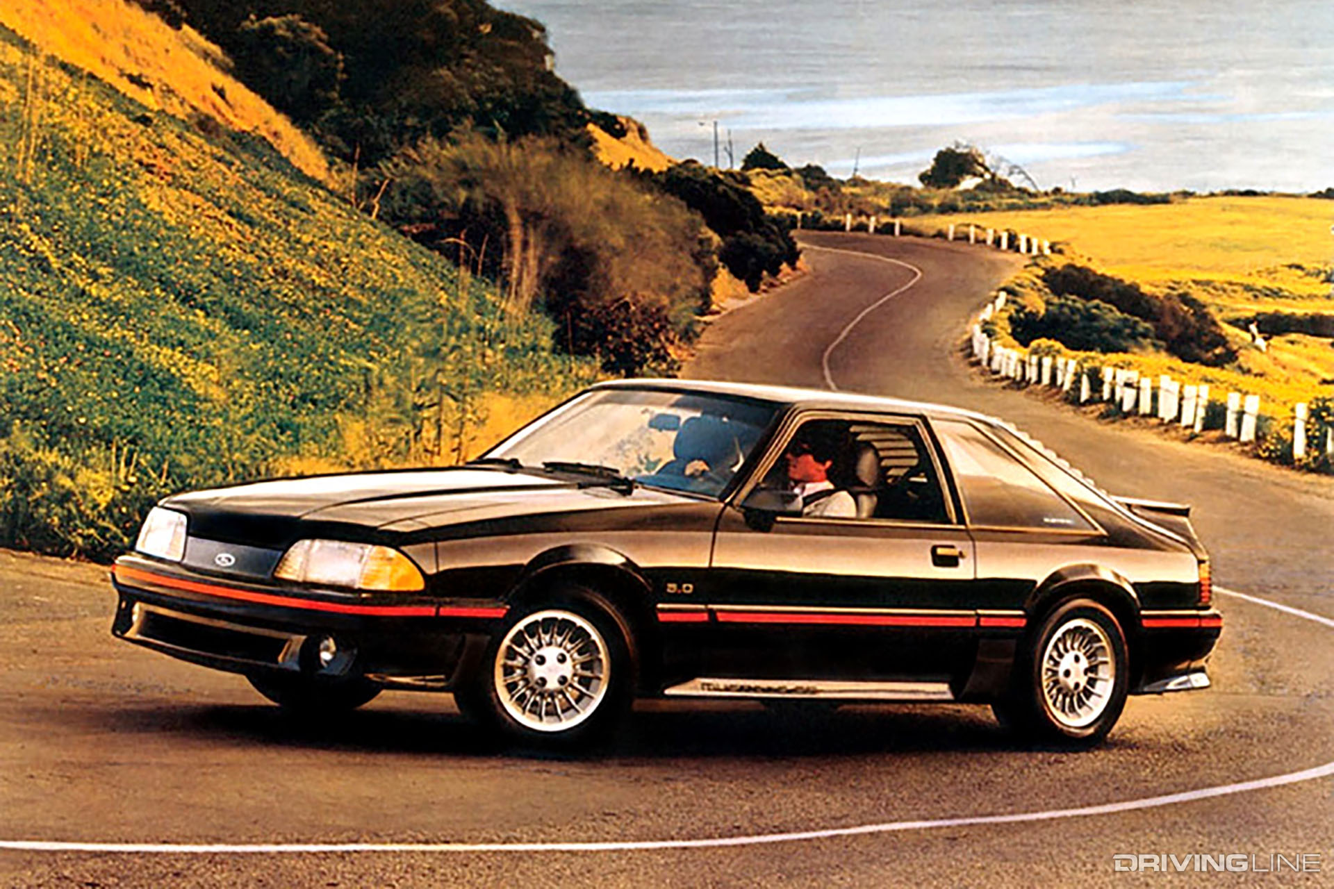 Ford Mustang 5.0 Black